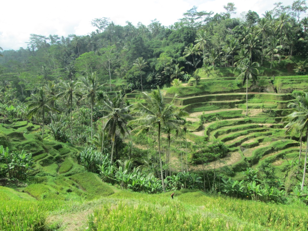 tegalalang