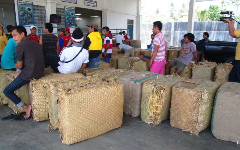 Antrian petani tembakau (Dok. pribadi)