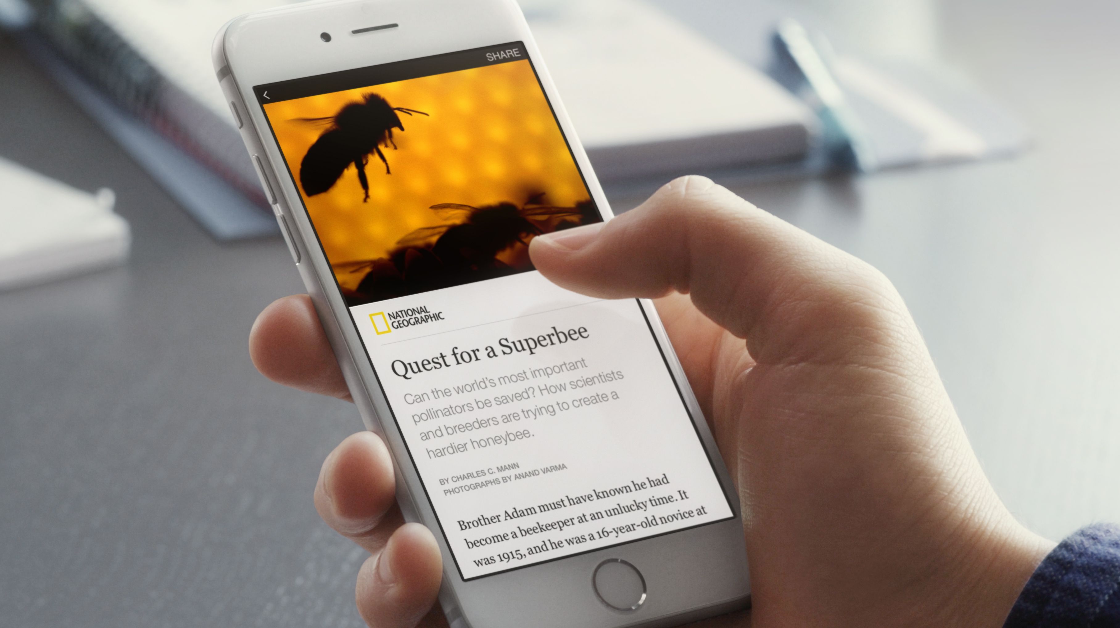 instant-article